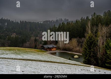 Winter Landscape With Cottage At Lake And Forest In Lower Austria (Waldviertel) In Austria Stock Photo