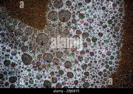 A beautiful closeup shot of the ocean foam on a sandy beach, featuring a multitude of bubbles Stock Photo