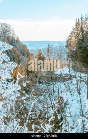 A picturesque winter scene featuring snow-covered trees against a cloudy sky Stock Photo