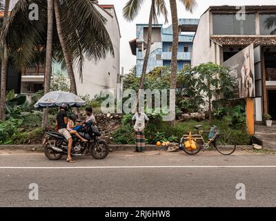 A man selling fresh coconuts attached to his bicycle on a busy road in Sri Lanka. Stock Photo