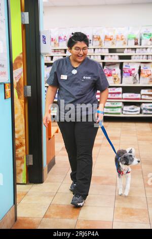 Veterinary Medicine Small Pet Veterinarian Near Me Training Animal