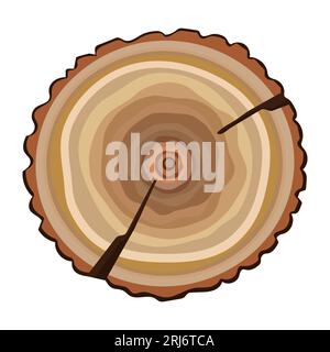 Tree stump top view, color illustration of wood Stock Vector