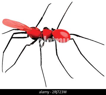 A sticker of red color Ant Stock Vector