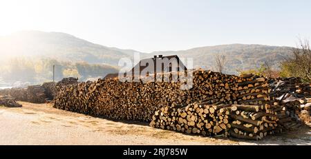 A stack of firewood on the background of the house Stock Photo