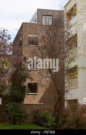 Juxtaposition of neighbouring facades. Wellington Road, London, United Kingdom. Architect: Alan Power Architects Ltd, 2022. Stock Photo