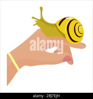 Snail sitting on a hand. Snail as a pet concept. Stock Vector