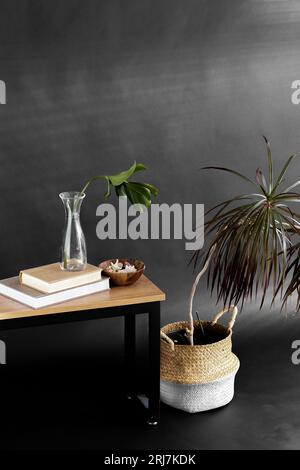 monstera leaf in vase, books and shells and palm Stock Photo