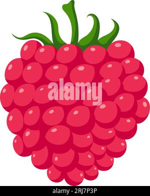 Funny cartoon raspberry. Cute berry. Vector food illustration isolated on white background. Stock Vector
