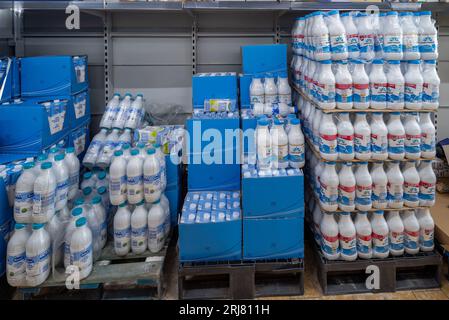 Fossano, Italy - August 14, 2023: Milk in plastic bottles stacked and in boxes on pallets for sale in italian discount supermarket store Stock Photo