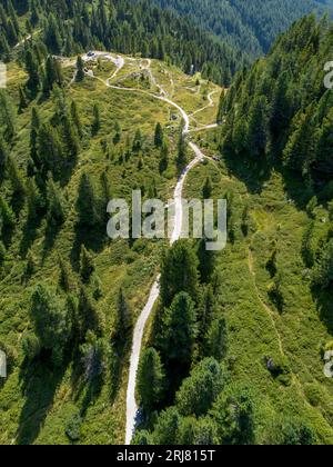 Scenic aerial view of hiking trail leading toward alpine mountains through green pine forest Stock Photo