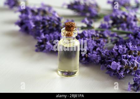 A bottle of essential oil with fresh white peony flowers in the background  Stock Photo - Alamy