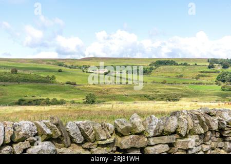 Landscape with farmhouse in the North Pennines near Stanhope, County Durham, England, United Kingdom Stock Photo