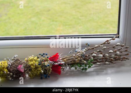 Willow branches on the window in the spring Stock Photo