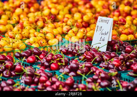 Red and yellow cherries in tiny green baskets with sign close up Stock Photo
