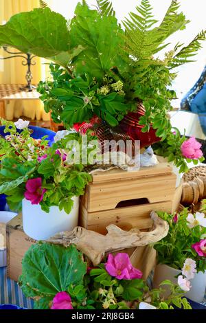 Imaginative buffet centerpiece with wild roses, wild flowers, rhubarb, fern, driftwood and sea shells on wood boxes Stock Photo