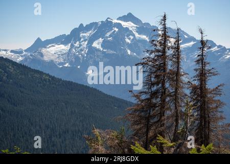 Mt Shuksan's rugged and glaciated peak rises above densely forested mountains as seen from the Yellow Aster Butte Trail, WA Stock Photo