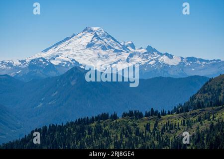 Mt. Baker's glaciated north face rises above densely forested mountains and meadows.  Image taken from Yellow Aster Butte viewpoint, WA Stock Photo