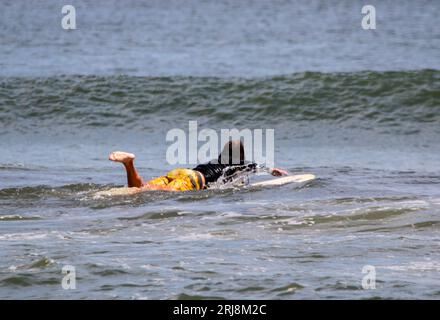 Male surfer lying on surfboard paddling out to catch waves to surf at Gilgo Beach Long island in the summer of 2023. Stock Photo