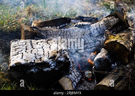 Burnt wood texture. Burnt piece of wood in a bonfire. Stock Photo
