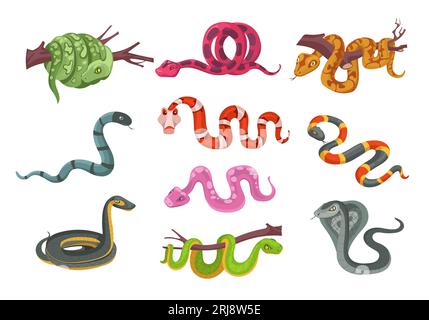Cartoon reptiles. Different types color snakes. Poisonous and suffocating animals. Scaly creature with venom. Terrarium serpent. Predator on branch Stock Vector
