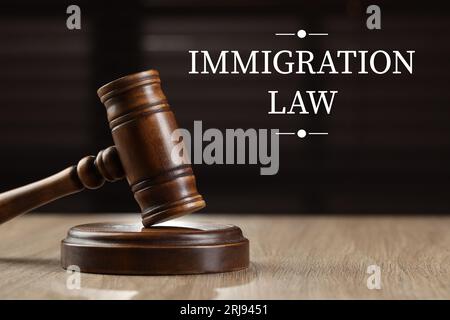 Immigration law. Wooden gavel and sound block on table Stock Photo