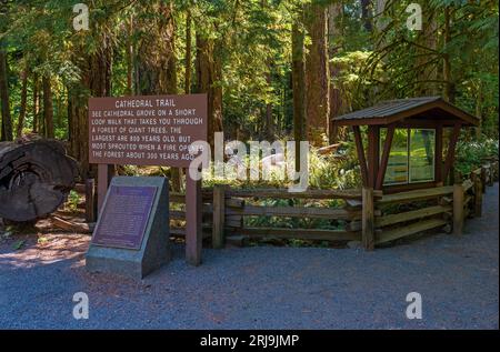 Entrance of the Cathedral Grove walking trail, Macmillan provincial park, Vancouver Island, British Columbia, Canada. Stock Photo
