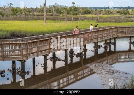 Couple carrying inflatable kayak while their cat walks along the boardwalk railing at Castaway Island Preserve in Jacksonville, Florida. (USA) Stock Photo