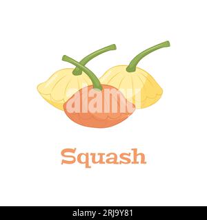 Patisson squash. Vegetarian logo. Organic food concept. Vector cartoon illustration Stock Vector