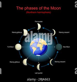 The phases of the Moon for Northern hemisphere. Lunar cycle. Moon phases depends on the Moon's position in orbit around the Earth and the Earth's posi Stock Vector