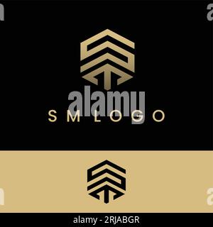 Initial SM or ST Hexagon Logo Elegant Luxury Design Inspiration Stock Vector