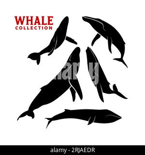 Giant Whale Sperm Narwhal cachalot humpback Silhouette Vector Set Stock Vector