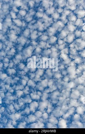 Looking up at little white clouds against a blue sky Stock Photo
