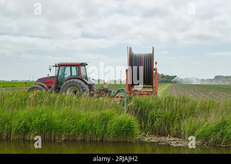 Farmer spraying water over a field with vegetables because of the drought due to lack of rain in summer. Orange hose reel, red tractor and irrigation Stock Photo