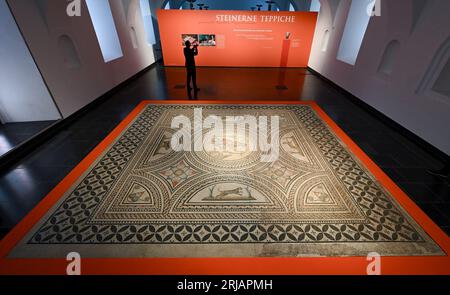 Mainz, Germany. 22nd Aug, 2023. The mosaic floor from a Roman townhouse of the 2nd and 3rd centuries in the lower town of Mainz, entitled 'Orpheus plays the cithara and sings,' is presented at the Landesmuseum. The capital of Rhineland-Palatinate is rich in traces from Roman times. Now special Roman mosaic finds from the past are to be presented anew in the state museum. (to dpa 'Mosaic finds from Roman times to be presented anew in Mainz') Credit: Arne Dedert/dpa/Alamy Live News Stock Photo