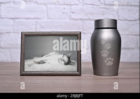 Decorative urn , next to a photograph of the pet on the table. Horizontal image. Stock Photo