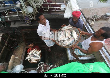 Chandpur fishmarket the largest wholesale market of Hilsha fish in Bangladesh.Hilshas caught from the Meghna river. Chandpur, Bangladesh. August 22, 2 Stock Photo