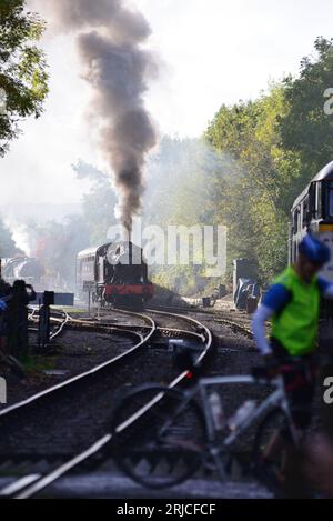 A cyclist on a designated cycle path, crossing the Avon Valley Railway at Bitton as a steam train approaches. Stock Photo