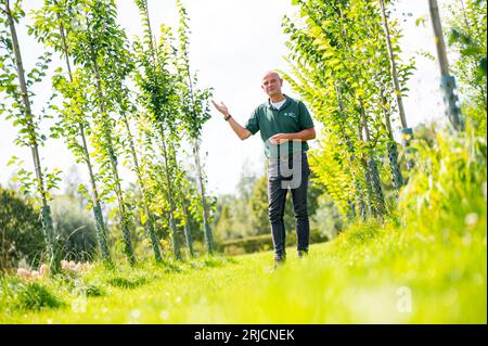 Ellerhoop, Germany. 22nd Aug, 2023. Andreas Wrede, head of nursery trials at the Chamber of Agriculture's Horticultural Center in Ellerhoop, stands among various elm varieties being researched for a nursery-suitable specimen that can be produced economically and in a climate-sensitive manner. Which trees can withstand the advancing climate change in our cities? Experts sought solutions on Tuesday at a symposium in the Ellerhoop nursery center (Pinneberg district). Credit: Jonas Walzberg/dpa/Alamy Live News Stock Photo