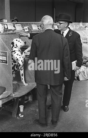 Crufts Dog Show 1960s UK. The Olympia exhibition centre. Two gents playing talking with a Dalmatian dog. Earls Court, London, England February 1968.  HOMER SYKES. Stock Photo