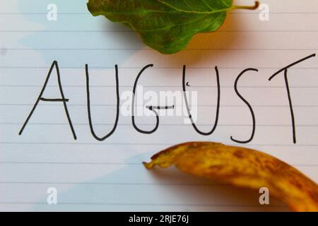 A photo of the month August written on a white page surrounded by leaves. Stock Photo