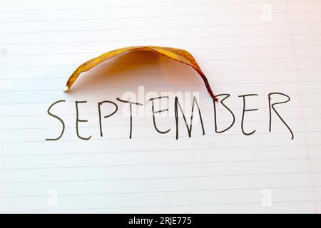 A photo of the month September written on a white lined page with a yellow leaf on it. Stock Photo