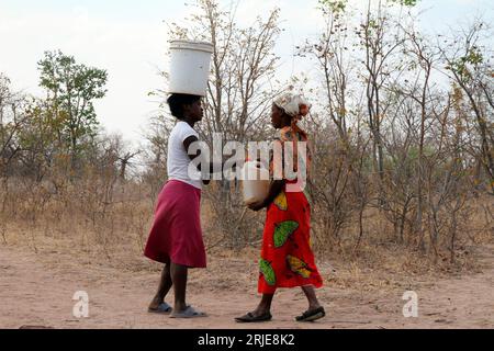 Two women are helping each other to carry a plastic container full of water in Binga district. The district suffers perennial water shortages despiteits  proximity to the Zambezi river. Zimbabwe. Stock Photo