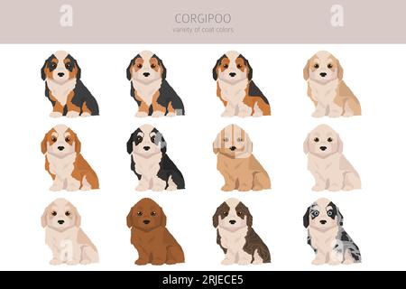 Corgipoo clipart. Welsh corgi Poodle mix. Different coat colors set.  Vector illustration Stock Vector