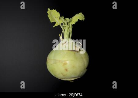 Raw Kohlrabi on a dark background with green leaves. close up. Stock Photo