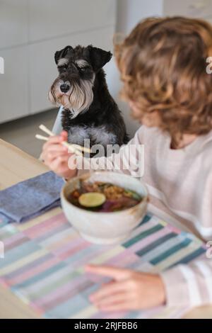 Unrecognizable child eating delicious soup with noodles using chopsticks while sitting at wooden table near pet in kitchen at home Stock Photo