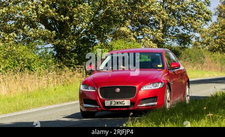 Woburn,Beds.UK - August 19th 2023: 2016 red diesel engine Jaguar XF car travelling on an English country road. Stock Photo