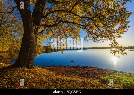 Typical autumn landscape in Trebonsko region in Southern Bohemia, Czech Republic Stock Photo