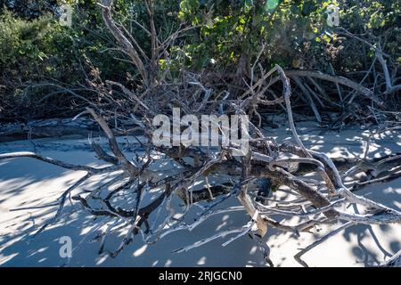 Salt Water flats at Inskip Point Queensland Stock Photo