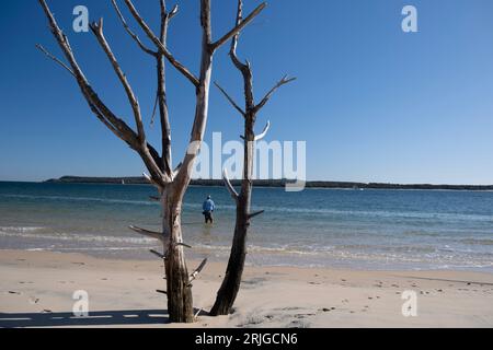 Salt Water flats at Inskip Point Queensland Stock Photo