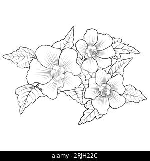 Hardy hibiscus syriacus. Line art perennial hibiscus flower coloring page vector Stock Vector